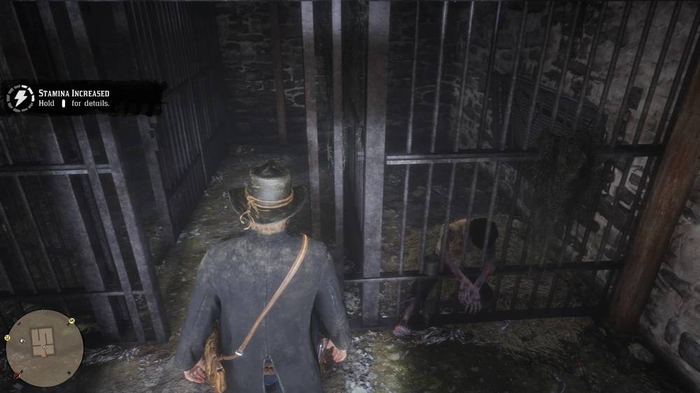 Red Dead Redemption 2_20181111025951.jpg