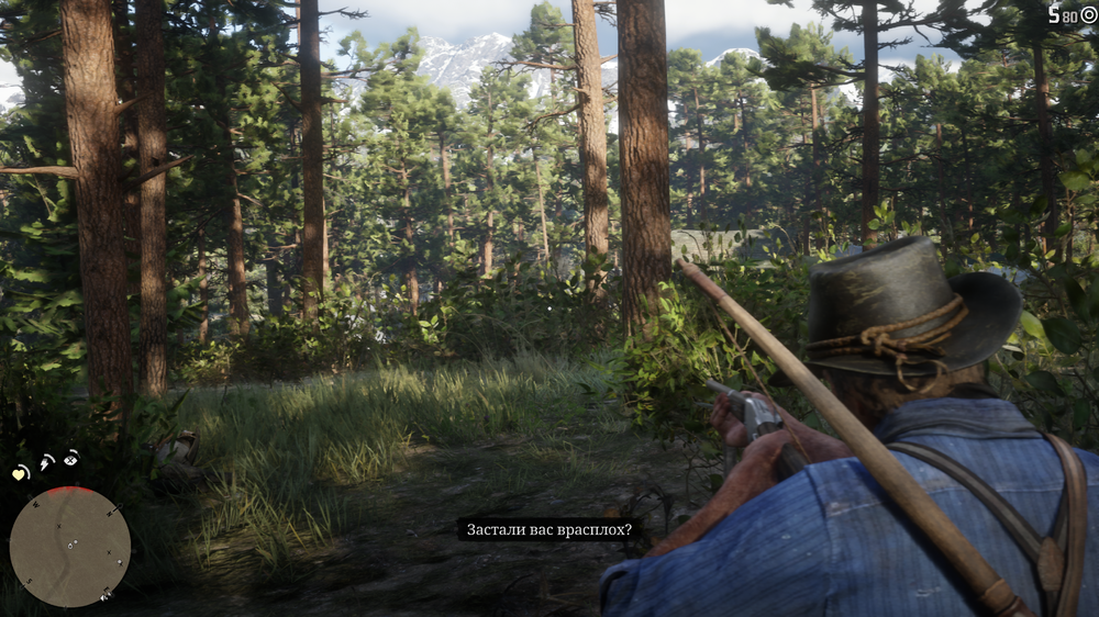 Red Dead Redemption 2_20181027055430.png