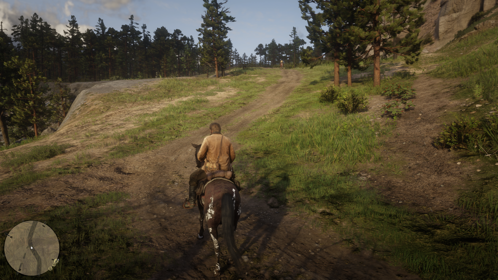 Red Dead Redemption 2_20181026232345.png