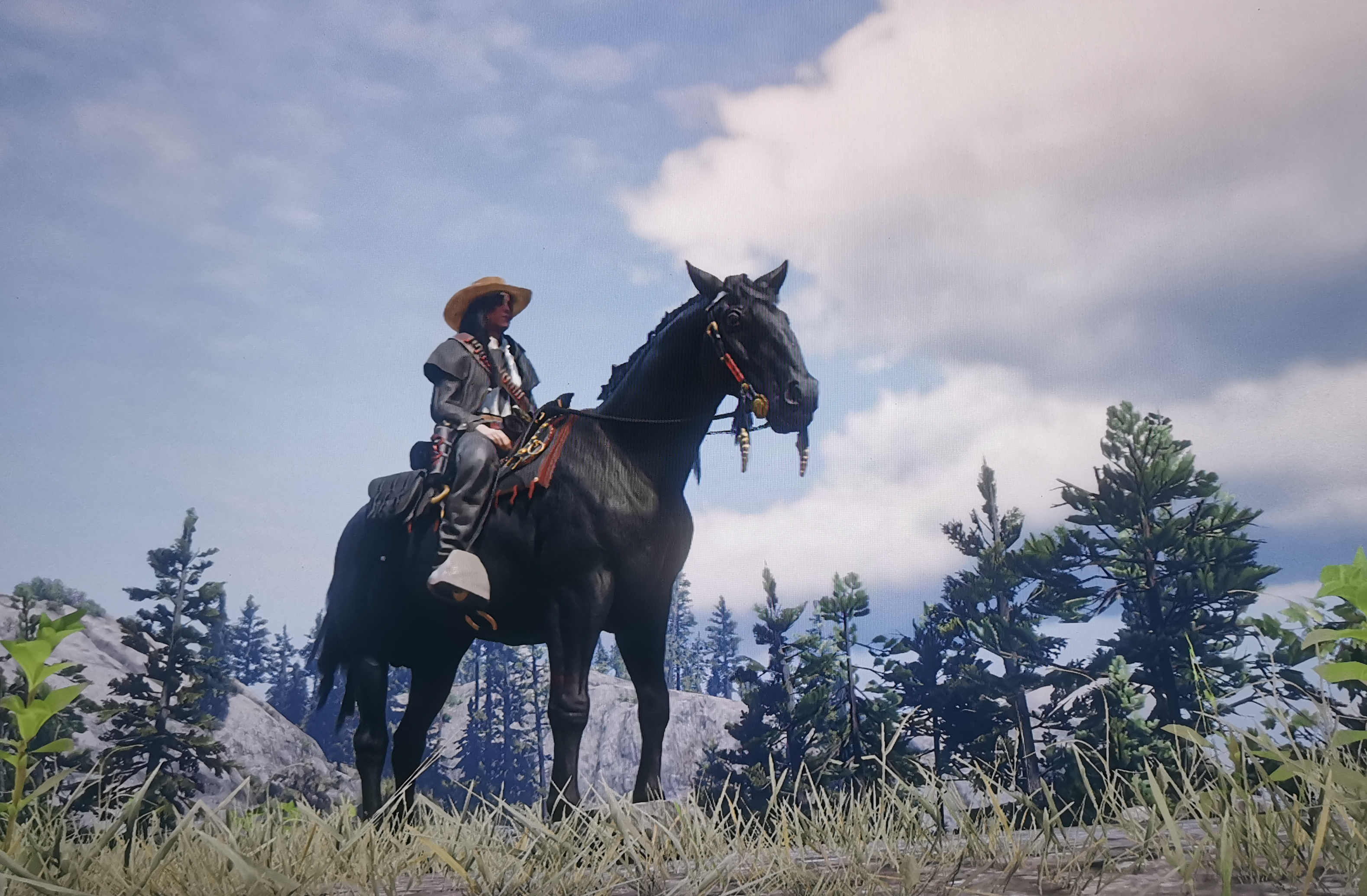 In Defense Of The Black Arabian Horse - Red Dead Online - RDR2.org