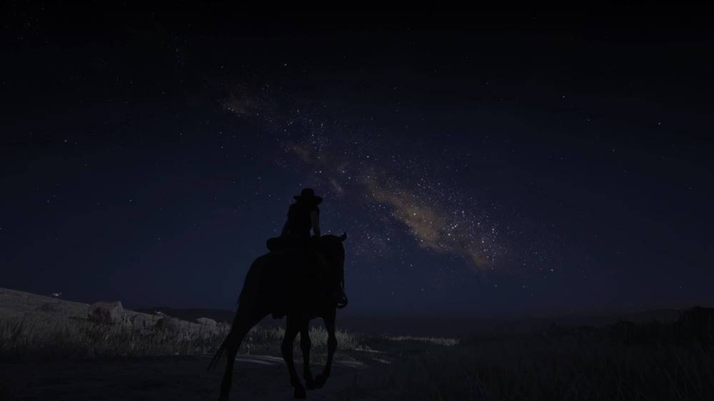 Red Dead Redemption 2_20190808122547.jpg