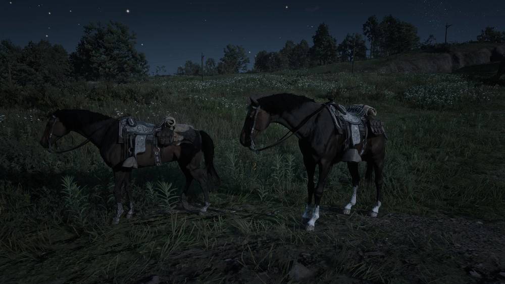 Duplicate horse glitch.jpg