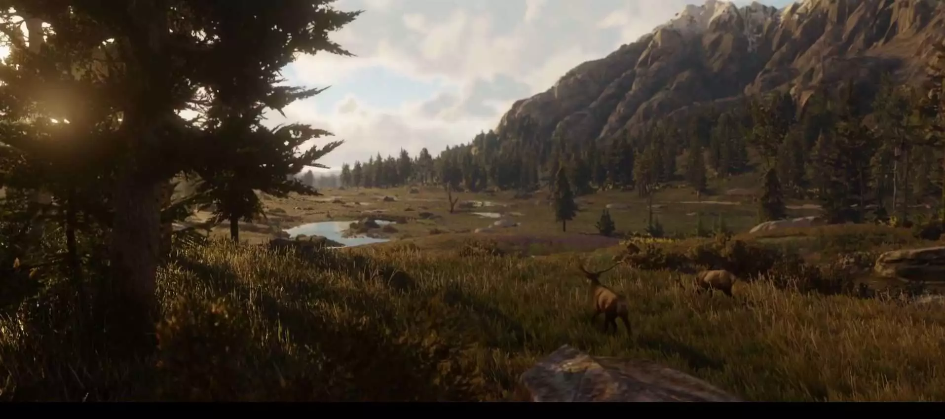 Expect Further Red Dead Redemption 2 Info In Feb