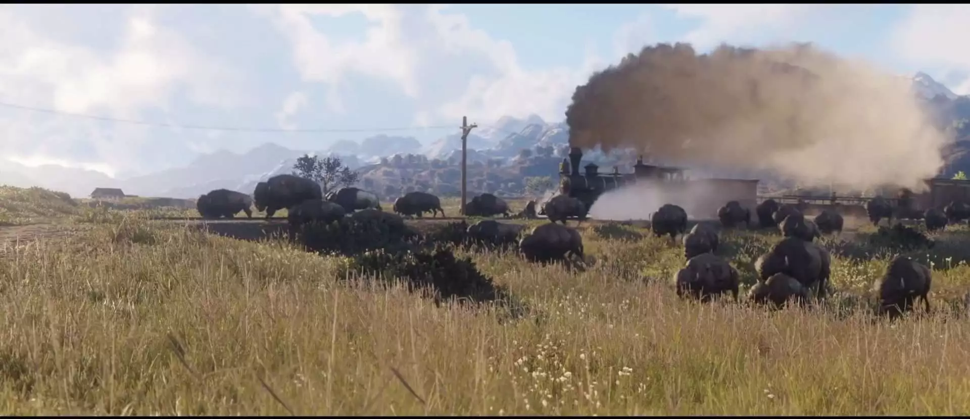 Red Dead Redemption 2 - What To Put Into The Collector's Edition?