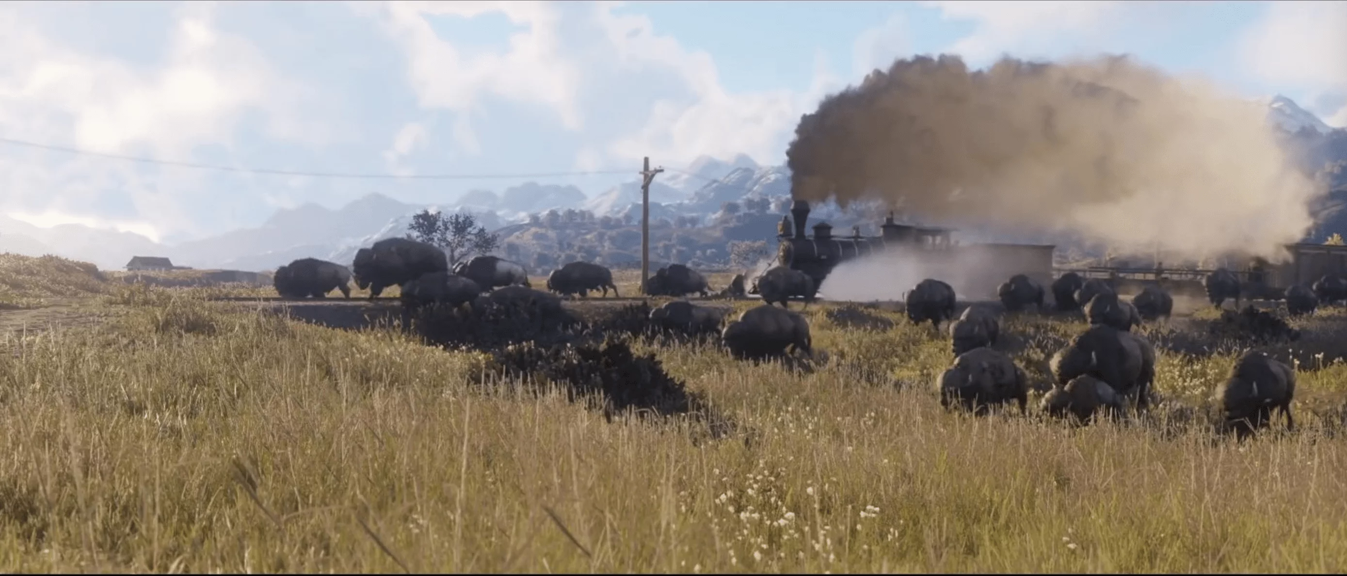 Could Red Dead Be Rockstar's Next Flagship Franchise?