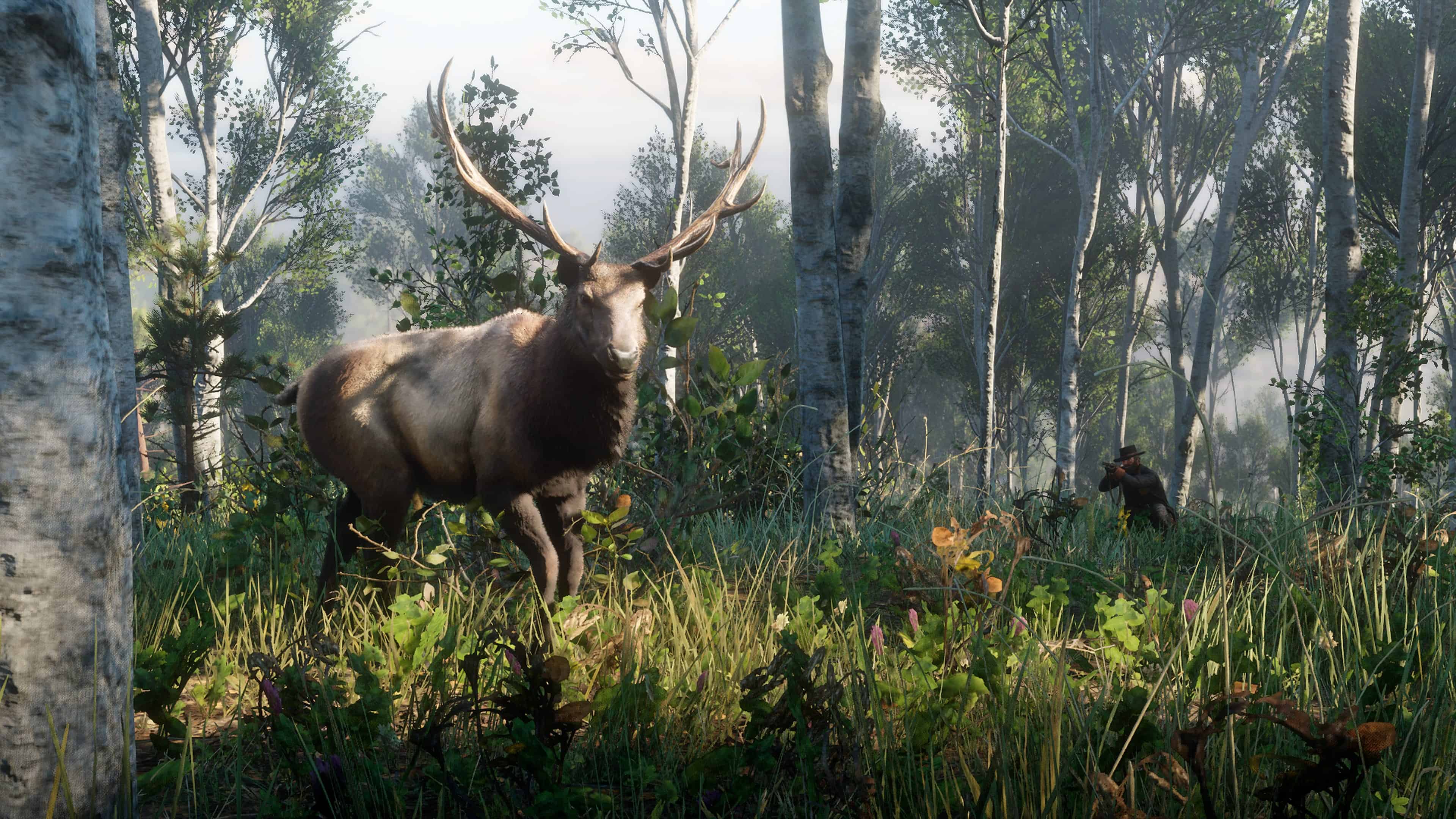 Red Dead Redemption 2 Master Hunter Challenges Guide RDR2