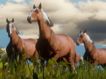 Red Dead Redemption 2 Wildlife & Horse Breeds Revealed