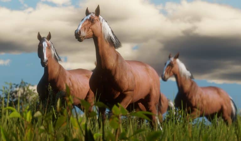 Red Dead Redemption 2 Horse Guide – Best Breed, Bonding, Stables & More