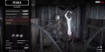 Red Dead Redemption 2 Special Edition Content Unlocking Guide