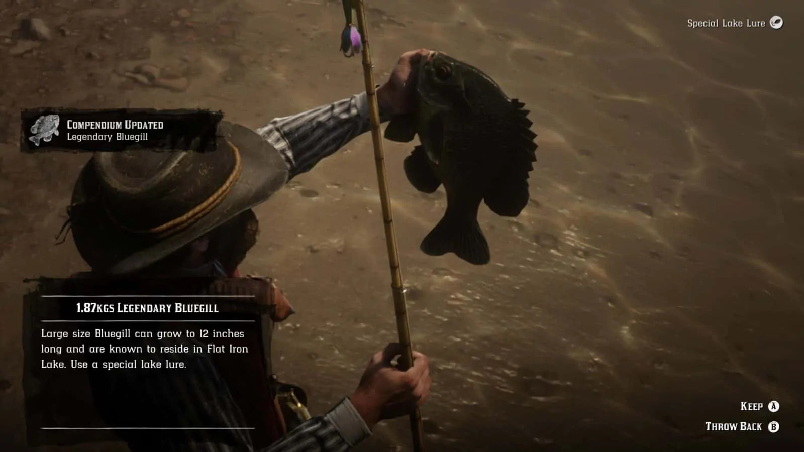 Red Dead Redemption 2 Legendary Fish Locations Guide ("A Fisher of Fish