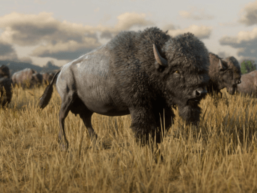 Red Dead Redemption 2 Legendary Animals Guide