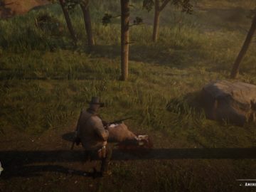 Red Dead Redemption 2 Hunting Guide