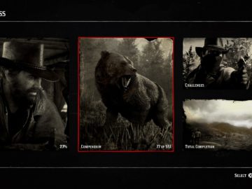 100% Completion Guide For Red Dead Redemption 2