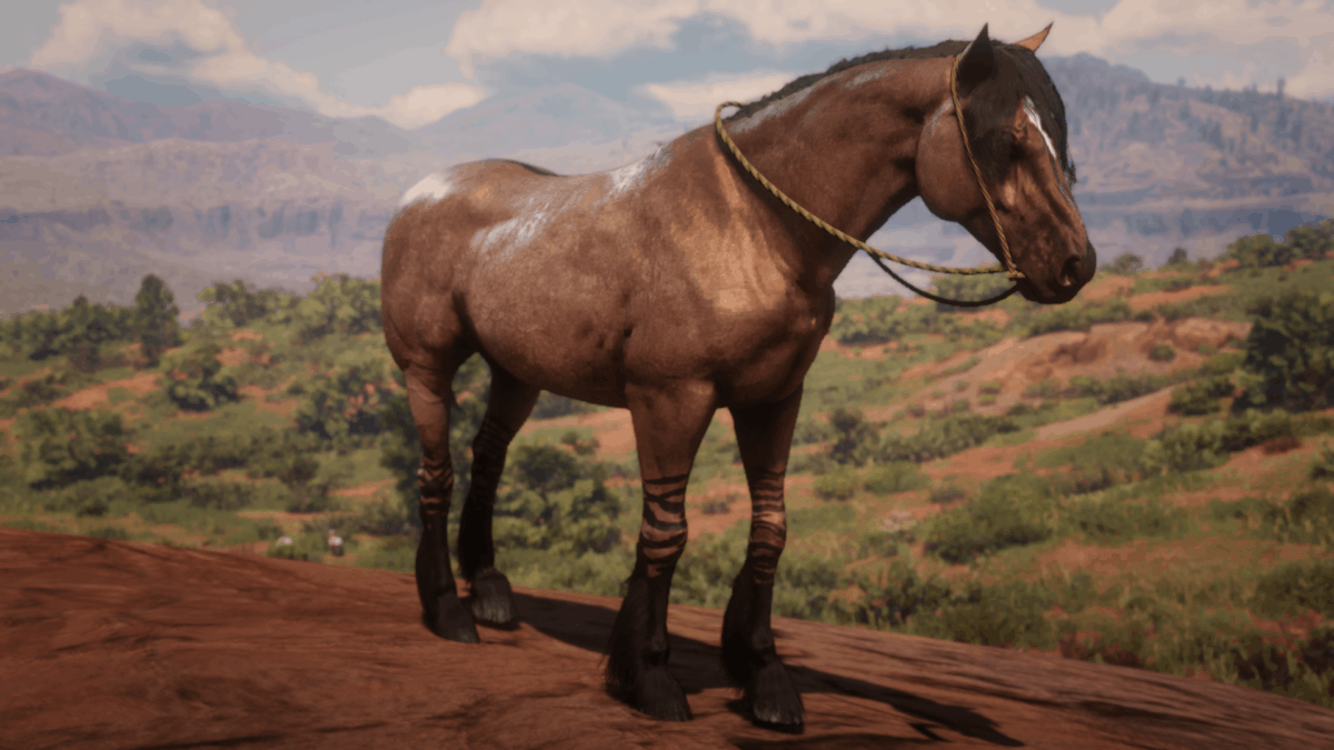 Red Dead Redemption 2 Wild Horse Breeds Locations Guide
