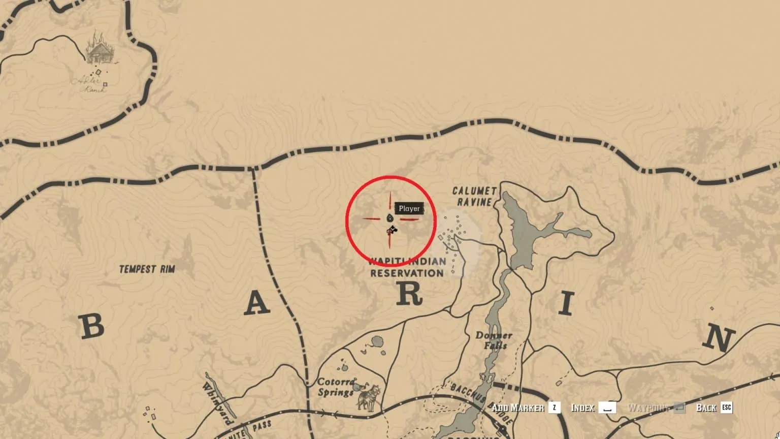 Red Dead Redemption 2 Wild Horse Breeds Locations Guide