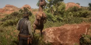 Red Dead Redemption 2 Wild Horse Breeds Locations Guide