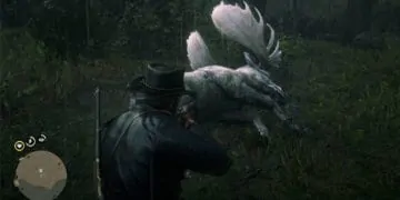 Red Dead Redemption 2 Legendary Animals Guide