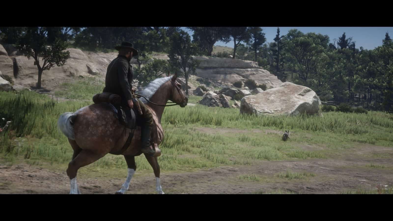 Red Dead Online Horse Awards Guide