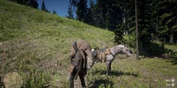 Red Dead Online Hunting Awards Guide