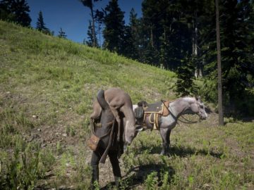 Red Dead Online Hunting Awards Guide