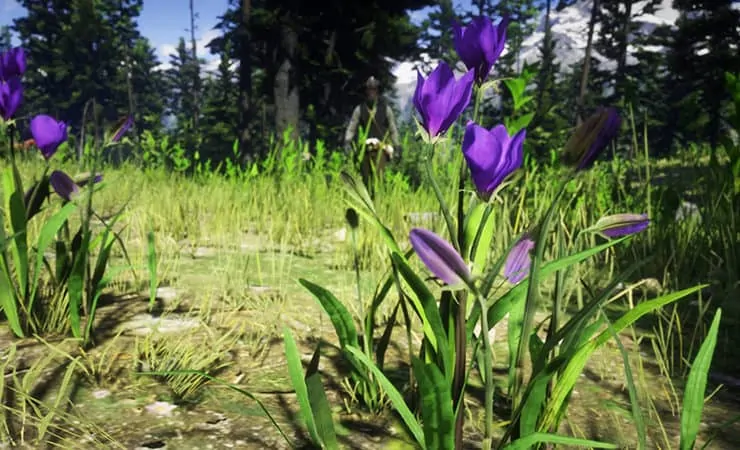 Plants & Herbs Location Guide