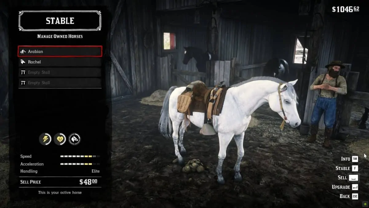 The Best Horse in RDR2 & Red Dead Online