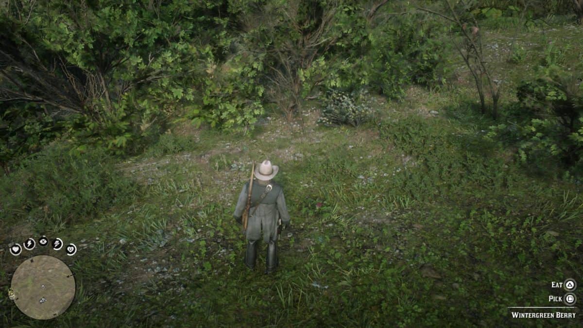 Red Dead Redemption 2 Herbalist Challenge Guide