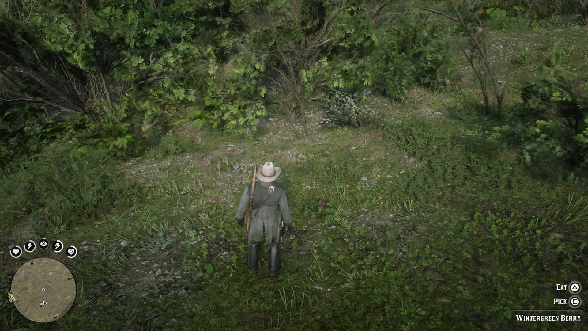 Red Dead Redemption 2 Herbalist Challenge Guide