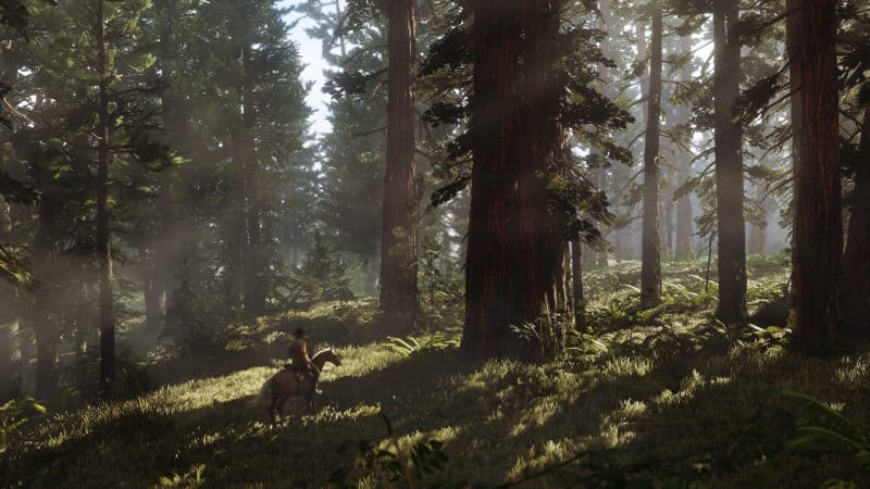 Red Dead Redemption 2 Herbalist Challenge Guide
