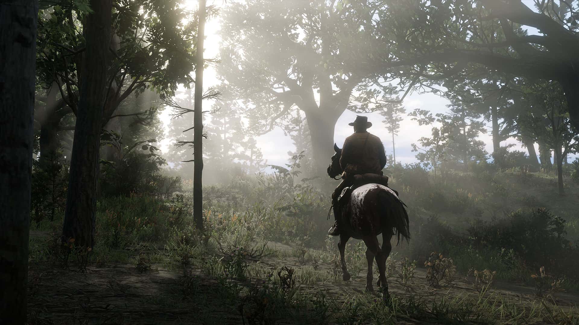Red Dead Redemption 2 Herbalist Challenge Guide