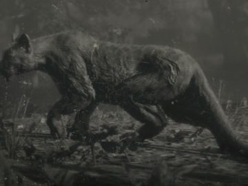 Legendary Giaguaro Panther Hunting Guide
