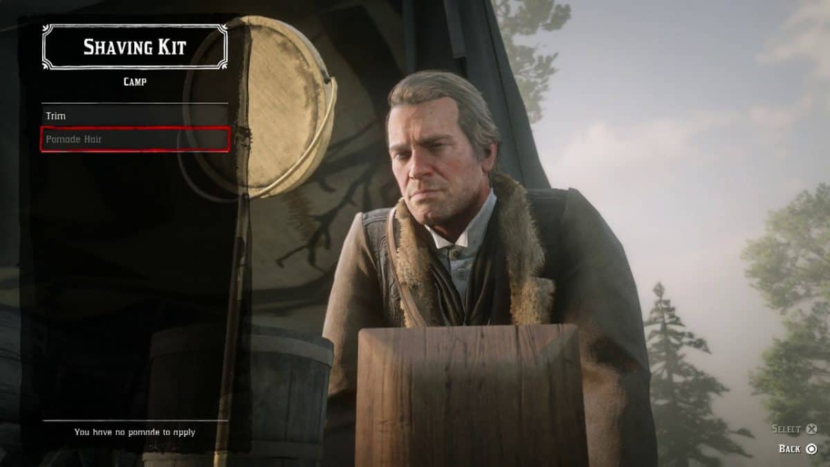 Hygiene & Shaving in Red Dead Redemption 2 and Online