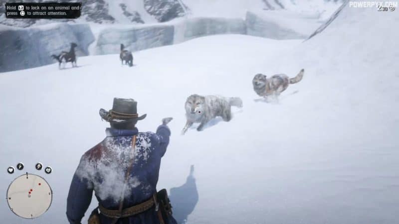 RDR-2-wolves-800x450.jpg