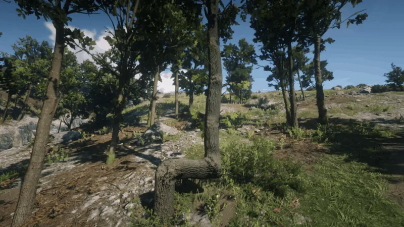 Points Of Interest Guide