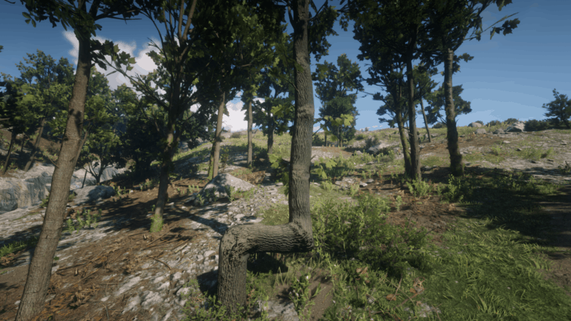 Points Of Interest Guide