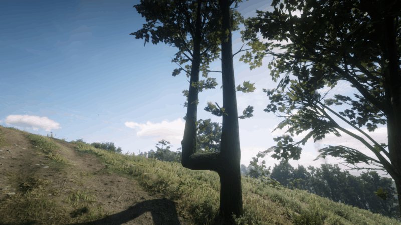 Points Of Interest Guide