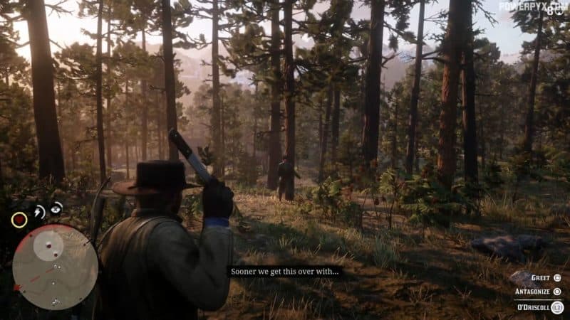 Red Dead Redemption 2 Weapons Expert Challenge Guide
