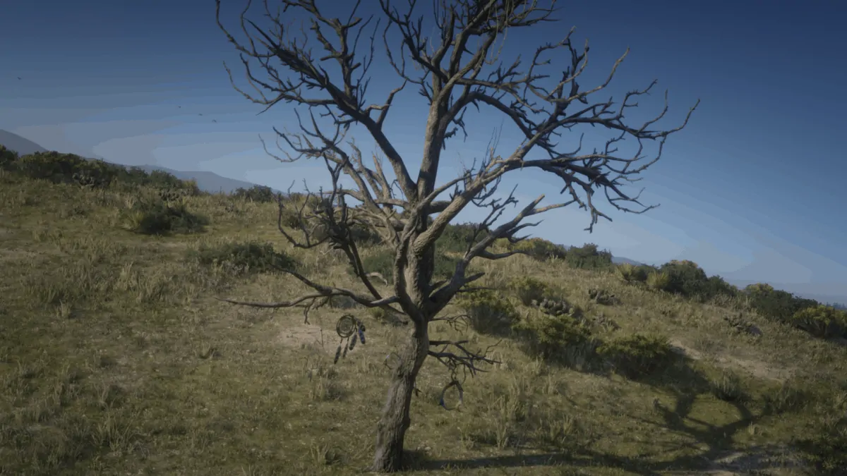 Points of Interest Guide