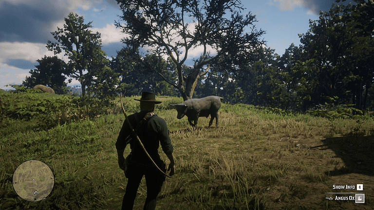 Ox Hunting Rdr2 All Animal Locations Guide - Page 2 of 7 - RDR2.org