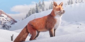 All Animal Locations Guide
