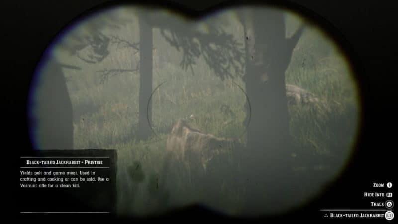 All Animal Locations Guide