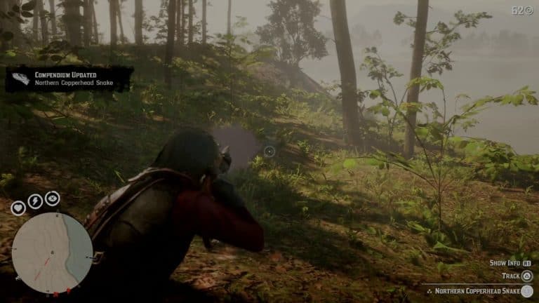 All Animal Locations Guide - Page 4 of 7 - RDR2.org