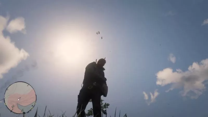 Parrot Rdr2 All Animal Locations Guide - Page 3 of 7 - RDR2.org