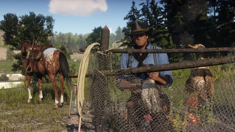 All Animal Locations Guide