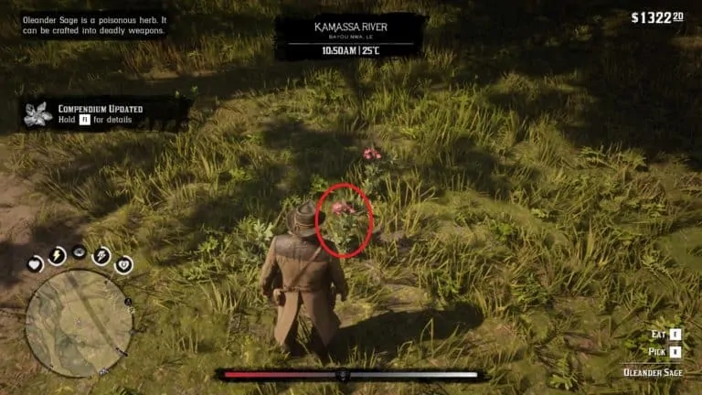 Item Requests Guide RDR2 item-requests-guide-rdr2
