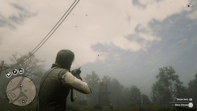 All Animal Locations Guide