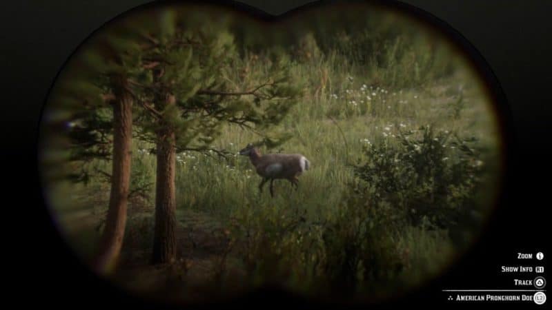 All Animal Locations Guide