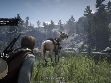 The Veteran Stranger Mission Guide