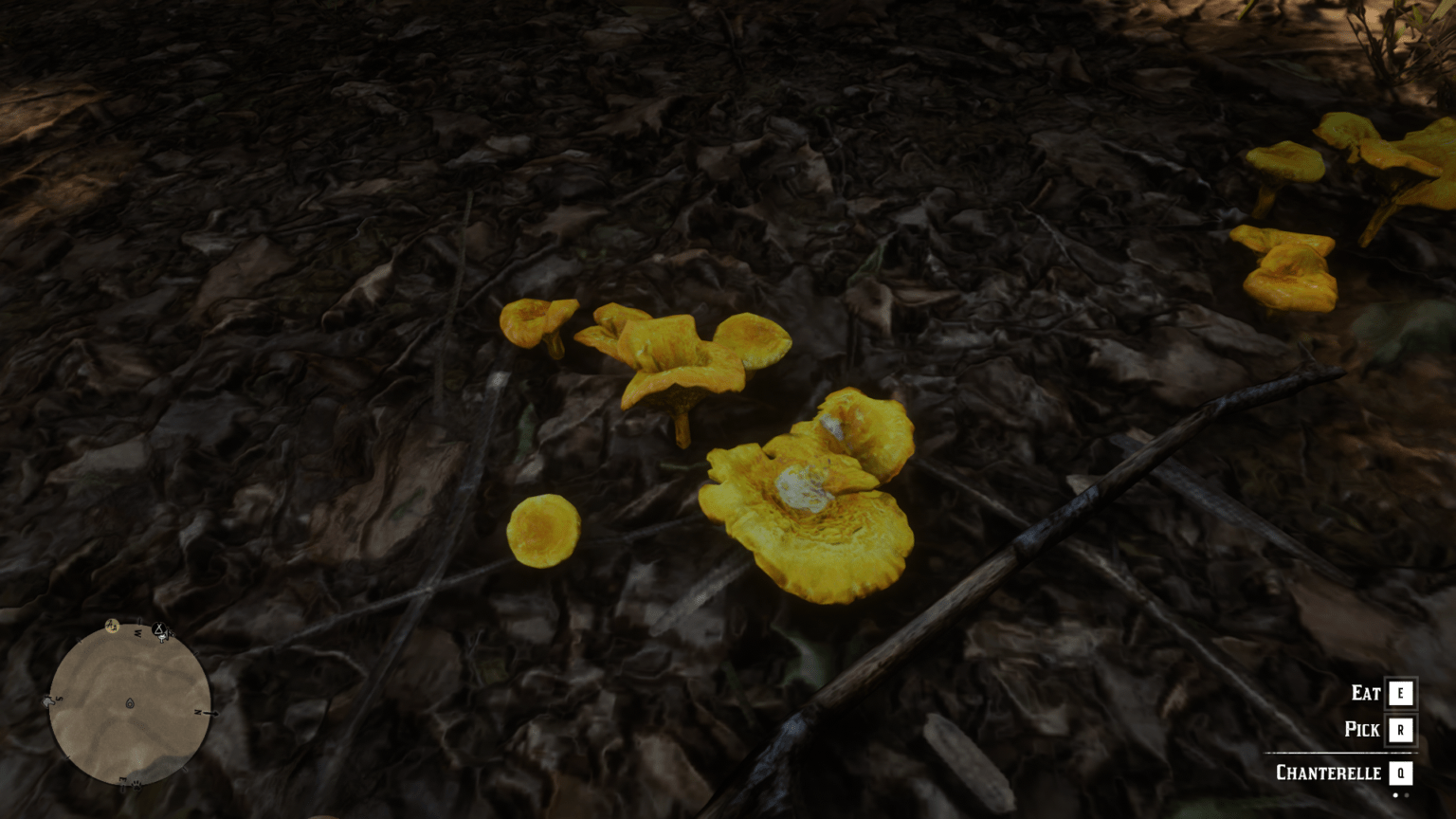 Plants & Herbs Location Guide