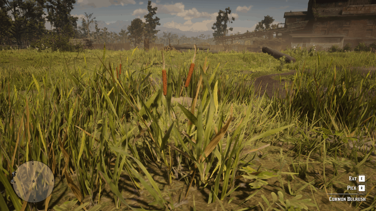 Butrum Rdr2 Plants & Herbs Location Guide - RDR2.org